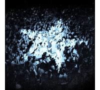 The Rions Everything Every Single Day (Vinyl LP) 12" Album