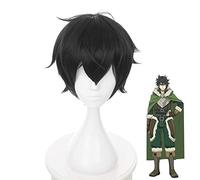 The Rising of the Shield Hero Naofumi Iwatani Parrucca nera Costume Cosplay Tate no Yuusha no Nariagari Parrucche resistenti al calore MZ-1131B