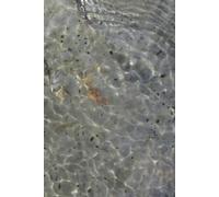 The Rockpool series, One: The rock pool