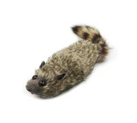 The Rocky Raccoon Trucchi Magici Puntelli Commedia Primo Piano Partito Trickv