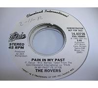 THE ROVERS - THE ROVERS 45 RPM Pain In My Past / SAME
