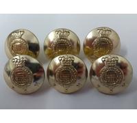 The Royal Gloucestershire Ussari Abito Bottoni British Army Insignia 30L