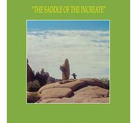 Sun Araw - Saddle of the Increate