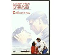 The Sandpiper DVD Castillos en la arena