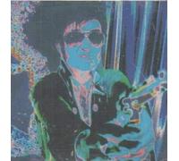 THE SATELLITE. FAT ELVIS SHOOTS ANOTHER TV. 1993 CD SINGLE