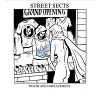 The Scarlet Letter (DVD) Iron Eyes Cody Alan Hale Betty Blythe Colleen Moore