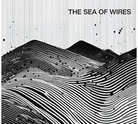 The Sea Of Wires