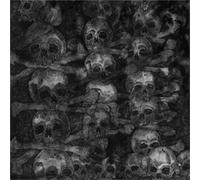 The Secret Agnus Dei (CD) Album