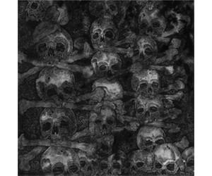 The Secret Agnus Dei (CD) Album