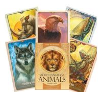 THE SECRET LANGUAGE OF ANIMALS Oracle Deck Cards Telling Blue Angel New