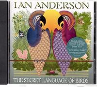 The Secret Language of Birds