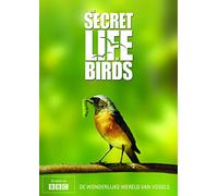 Secret life of birds (DVD)