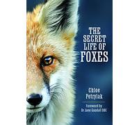 The Secret Life of Foxes by Chloe Petrylak