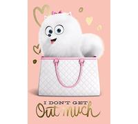 The Secret Life of Pets La Vita segreta di Animali Domestici, Motivo: I Don't Get out Molto Maxi Poster, in Legno, Colore: Multicolore