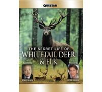 The Secret Life of Whitetail Deer and Elk (DVD) Peter Coyote Stacy Keach