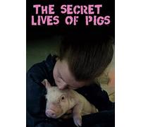 The Secret Lives of Pigs