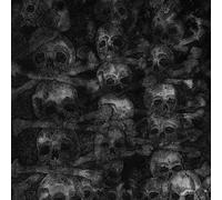 The Secret - The Secret - Agnus Dei [Japan CD] DYMC-178