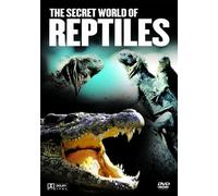 The Secret World of Reptiles [Edizione: Regno Unito]
