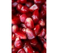 The Seed of Life: From the Darkness of the Earth to the Light of Consciousness