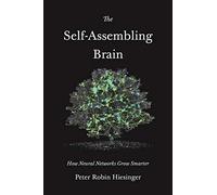 The Self-Assembling Brain: How Neural Networks Grow Smarter