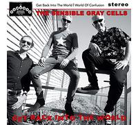 The Sensible Gray Cells - Get Back Into The World/World of Confusion [VINYL]