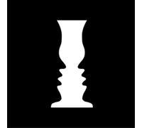 The Sensory Illusions The Sensory Illusions (Vinyl LP) 12" Album