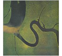 Dead Can Dance The Serpent's Egg (Vinyl LP) 12" Album
