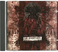 The Seventhate - It S Not While Sleeping