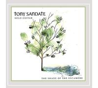 The Shade of the Sycamore by Tony Sandate