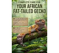 THE SHADOW DWELLER: THE AFRICAN FAT-TAILED GECKO