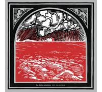 The Shaking Sensations Start Stop Worrying (CD) Album