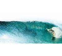 THE SHALLOWS POSTER BLAKE LIVELY WHITE SHARK