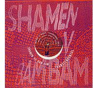 The Shamen - Transcendental (1988) [VINYL]