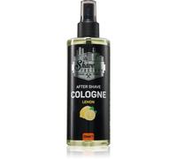 The Shave Factory Lemon lozione after-shave 250 ml