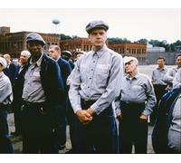 The Shawshank Redemption Film Photo Poster Stampa 61x50.8cm Cool Immagine 263166