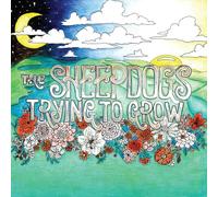 The Sheepdogs - Trying To Grow