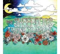 The Sheepdogs Trying To Grow (CD)