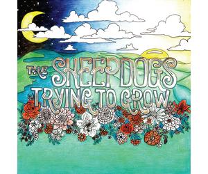 The Sheepdogs Trying To Grow (CD)