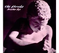 The Shrubs - Another Age 12" (UK 1988)