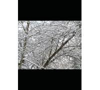 The Signal Beneath Biwa: The Frequency That Should Not Exist Beneath the Lake