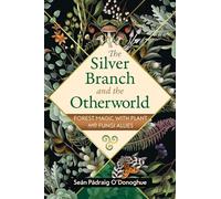 Seán Pádraig O'Donoghue The Silver Branch and the Otherworld (Tascabile)