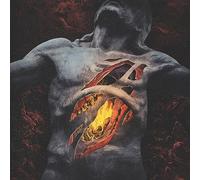 The Sin Of Human Frailty