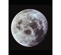 The Sleepy Moon Bunny