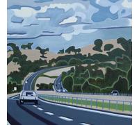 The Small Intestines Hide in Time (Vinyl LP) 12" Album