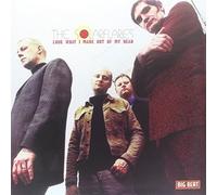 The Solarflares Look What I Made Out of My Head (Vinyl LP) 12" Album