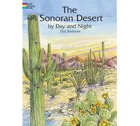The Sonoran Desert by Day and Night