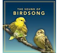The Sound Of Birdsong