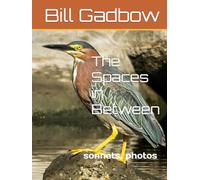 The Spaces in Between: Sonnets, Photos, and Other Stuff