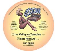 The Spins Otherwise Dodias - The Valley Of Temples - Erezioni - ERZ-003