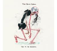 The Spook School Try to Be Hopeful (Vinyl LP) 12" Album